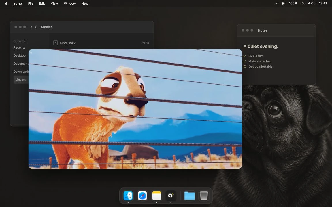 The same real kurtz window playing Caminandes on a staged Mac desktop, with controls hidden.